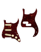 Accesorios Bajo y guitarra